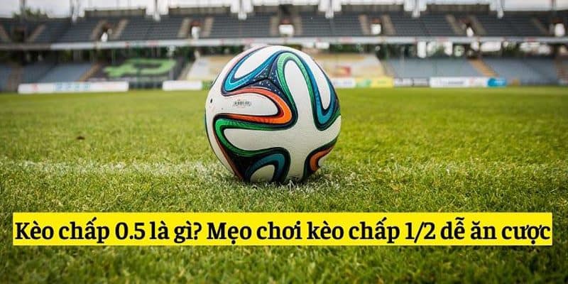 Các bí kíp dự đoán tỷ lệ 0.5 trái dễ thắng